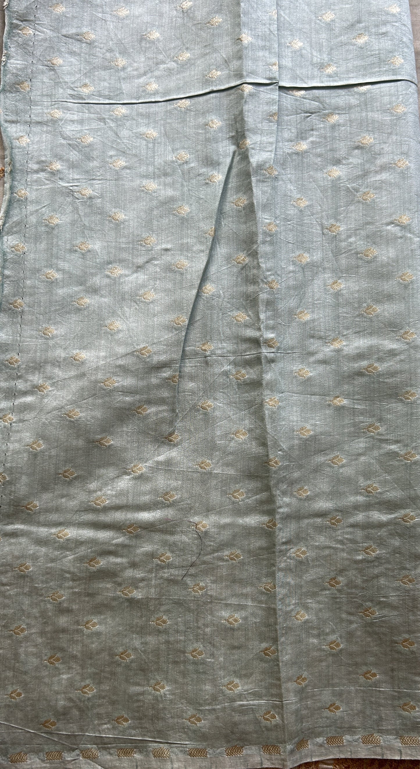 Tissue Organza Designer Saree Sage colored Saree Paired with a Thread border. - Sampradaya Designer Studio