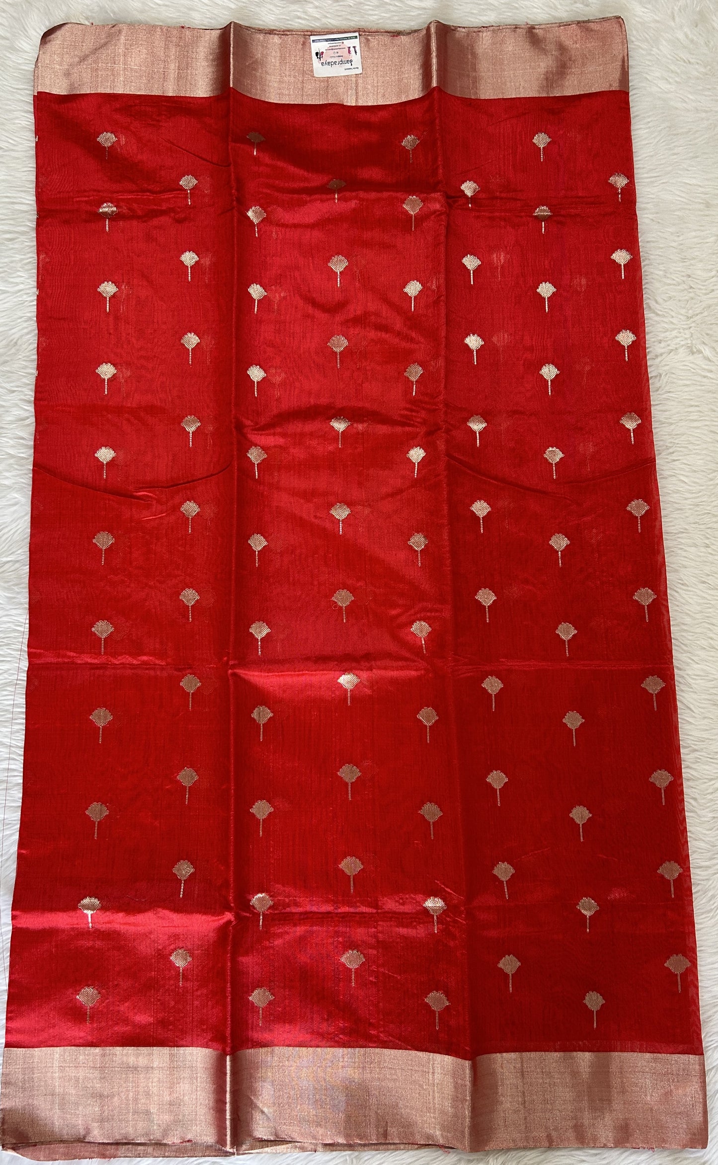 Chanderi Pattu Saree Red colored saree complemented with a Silver Zari border - Sampradaya Designer Studio