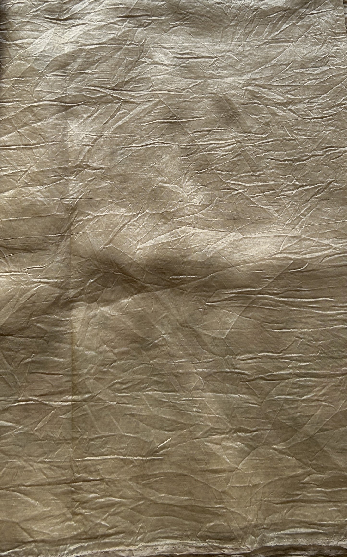 Inox Silk Saree Biscuit Colored Elegantly Paired with a Embroidered Border. - Sampradaya Designer Studio