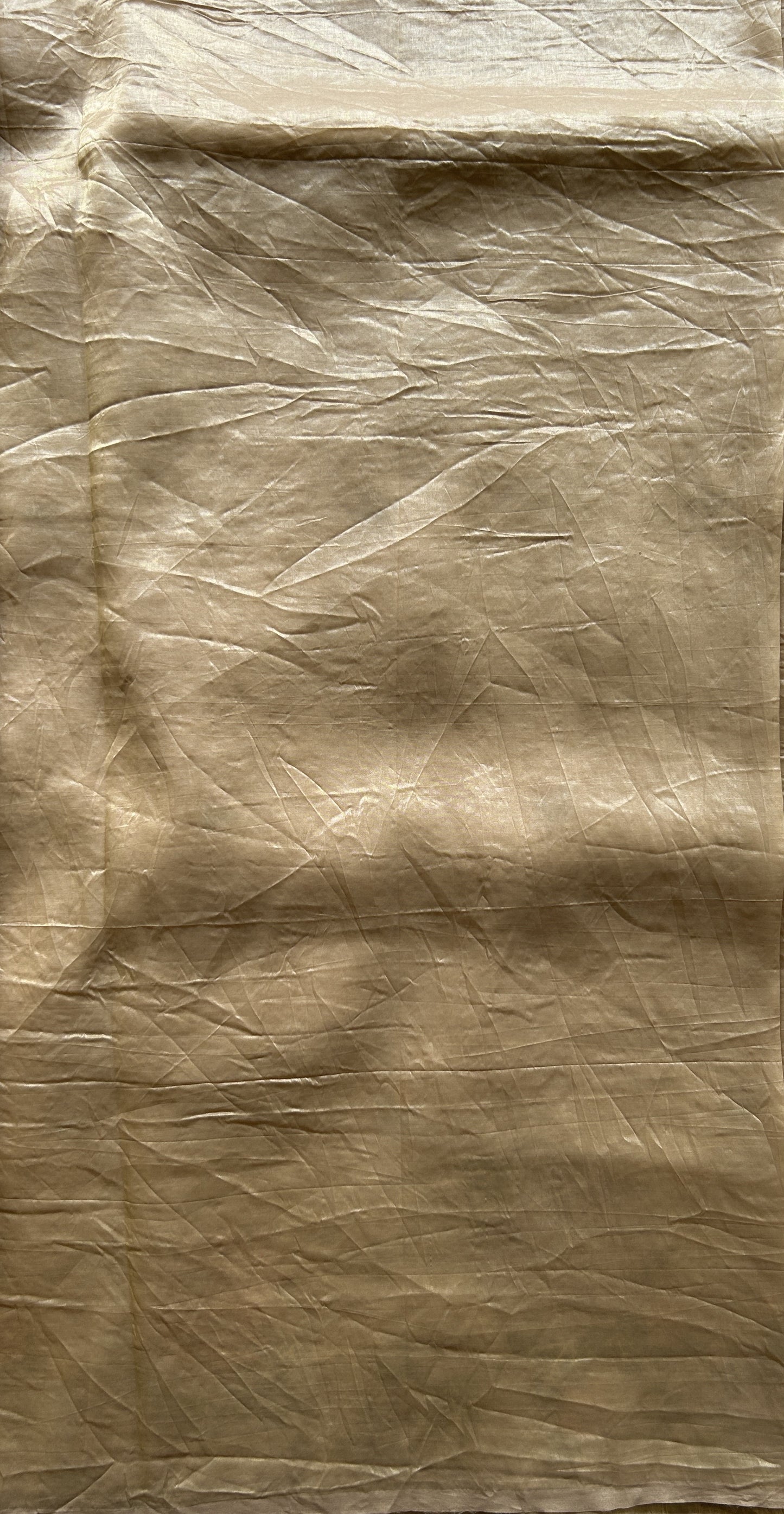 Inox Silk Saree Beige Colored Complemented with a Embroidered Border. - Sampradaya Designer Studio