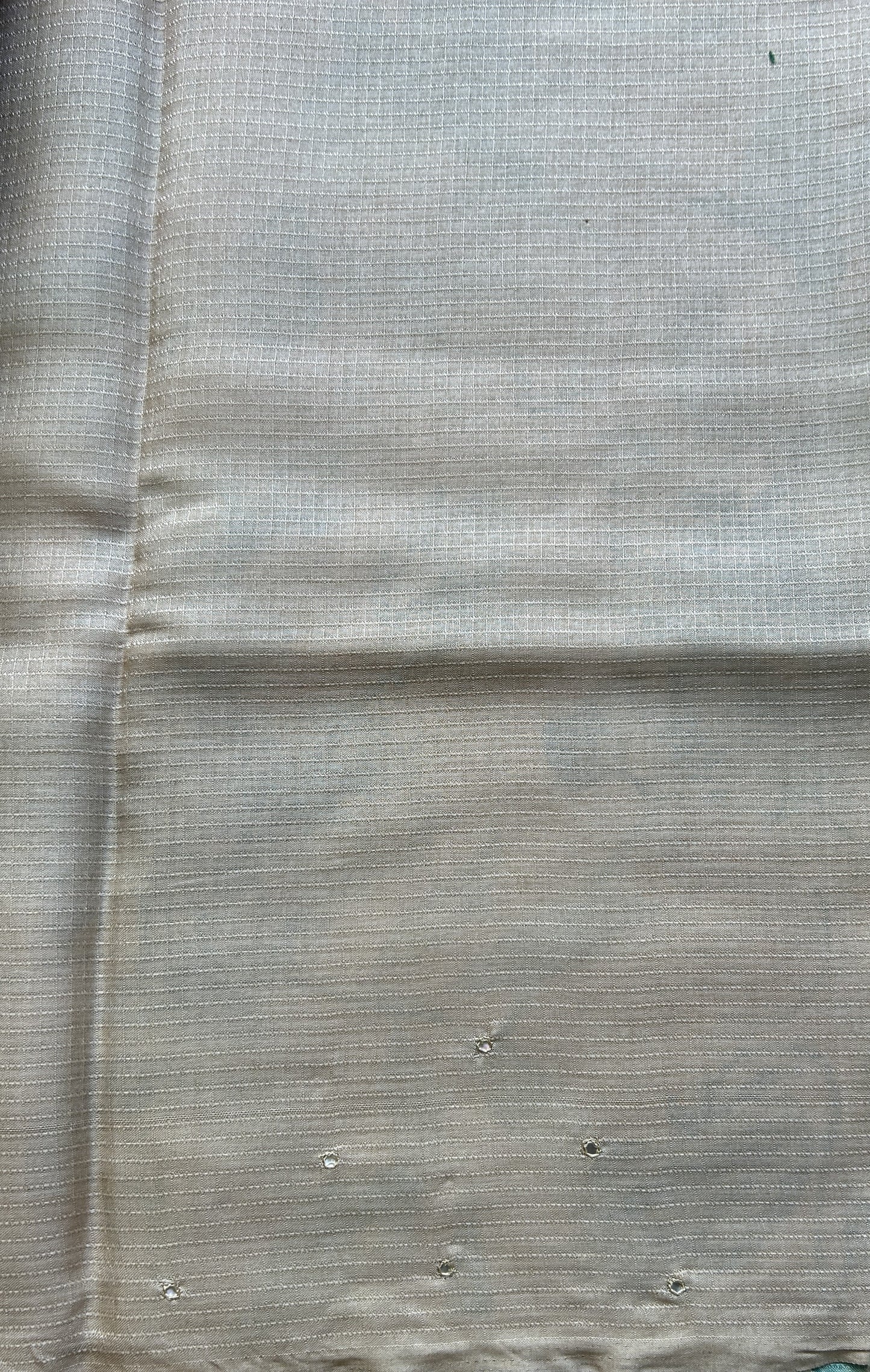 Semi Tussar Saree Beige Colored Elegantly Paired with a Mirror Work Border. - Sampradaya Designer Studio