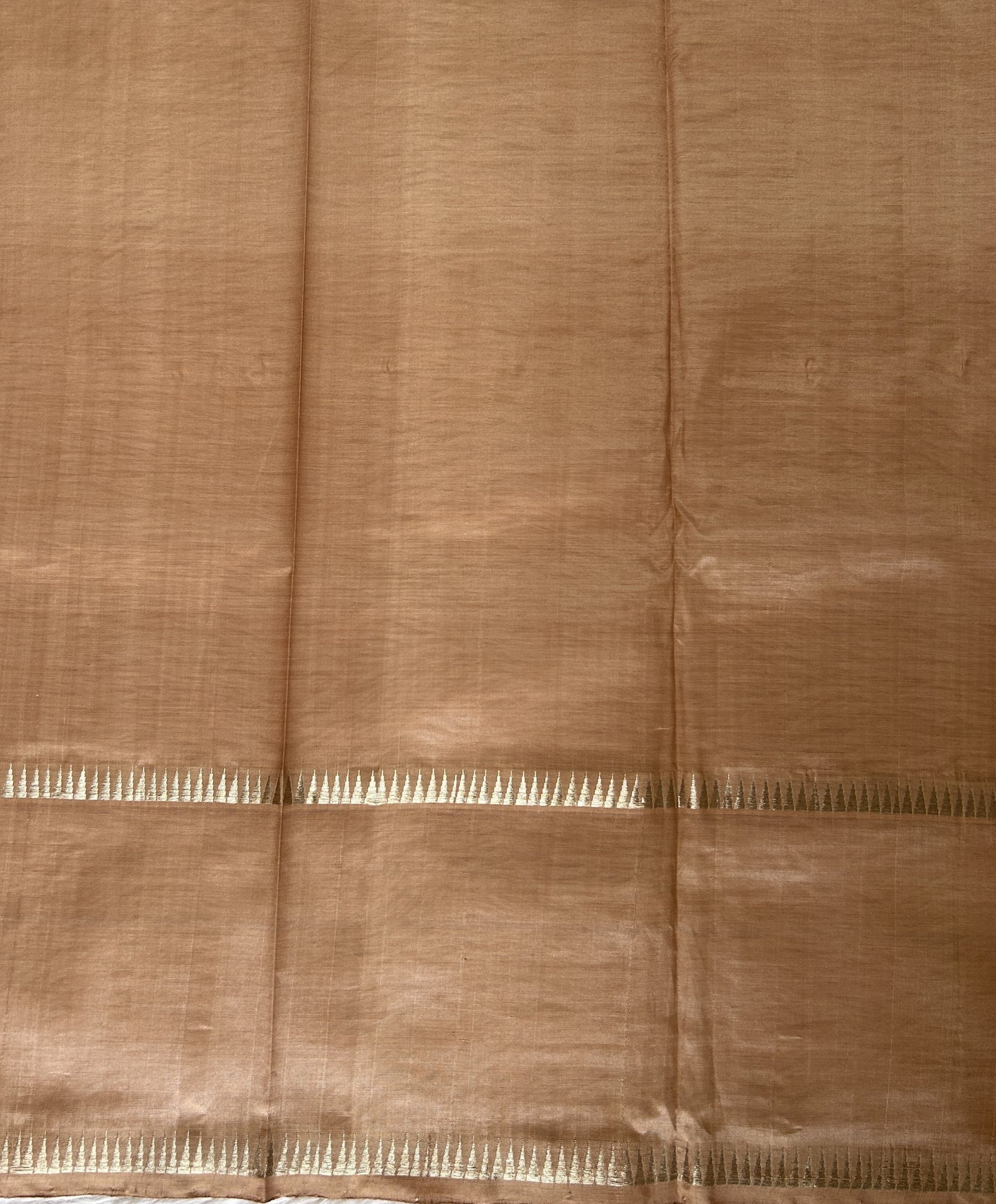 Mangalagiri Plain Pattu Saree Beige colored Saree complemented with a Silver Mangalagiri Gap Border - Sampradaya Designer Studio
