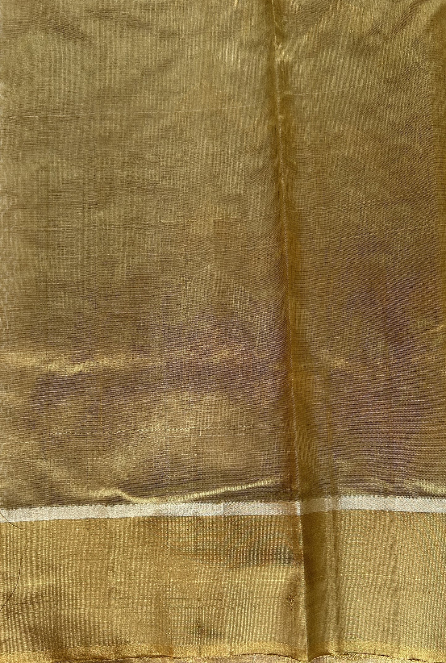 Chanderi Pattu Saree Pastel Green colored saree complemented with a Gold Zari border - Sampradaya Designer Studio
