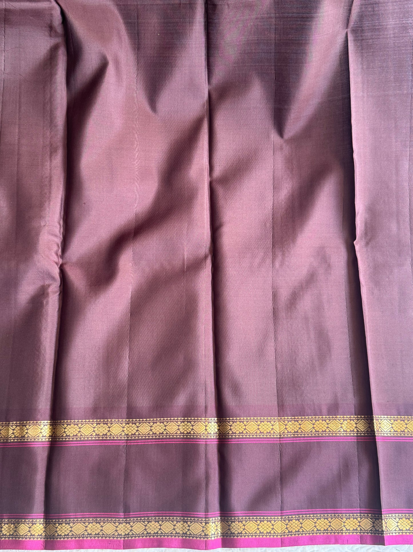 Pure Kanjivaram Silk Saree Teal Blue Colored Elegantly Paid with a Gold Zari Border.
