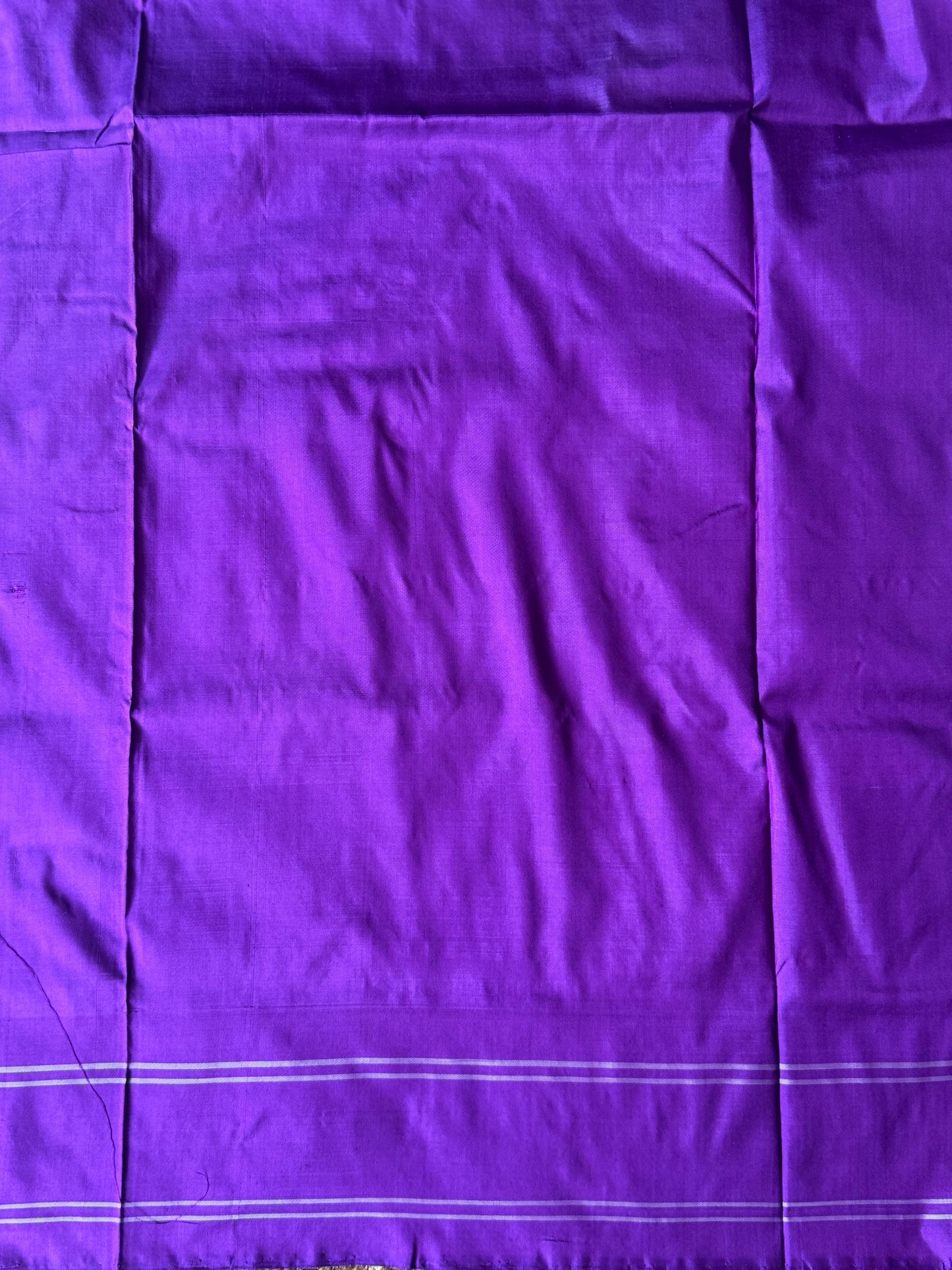 Ikkat Pattu Saree Light Blue colored complemented with a Patola border. - Sampradaya Designer Studio