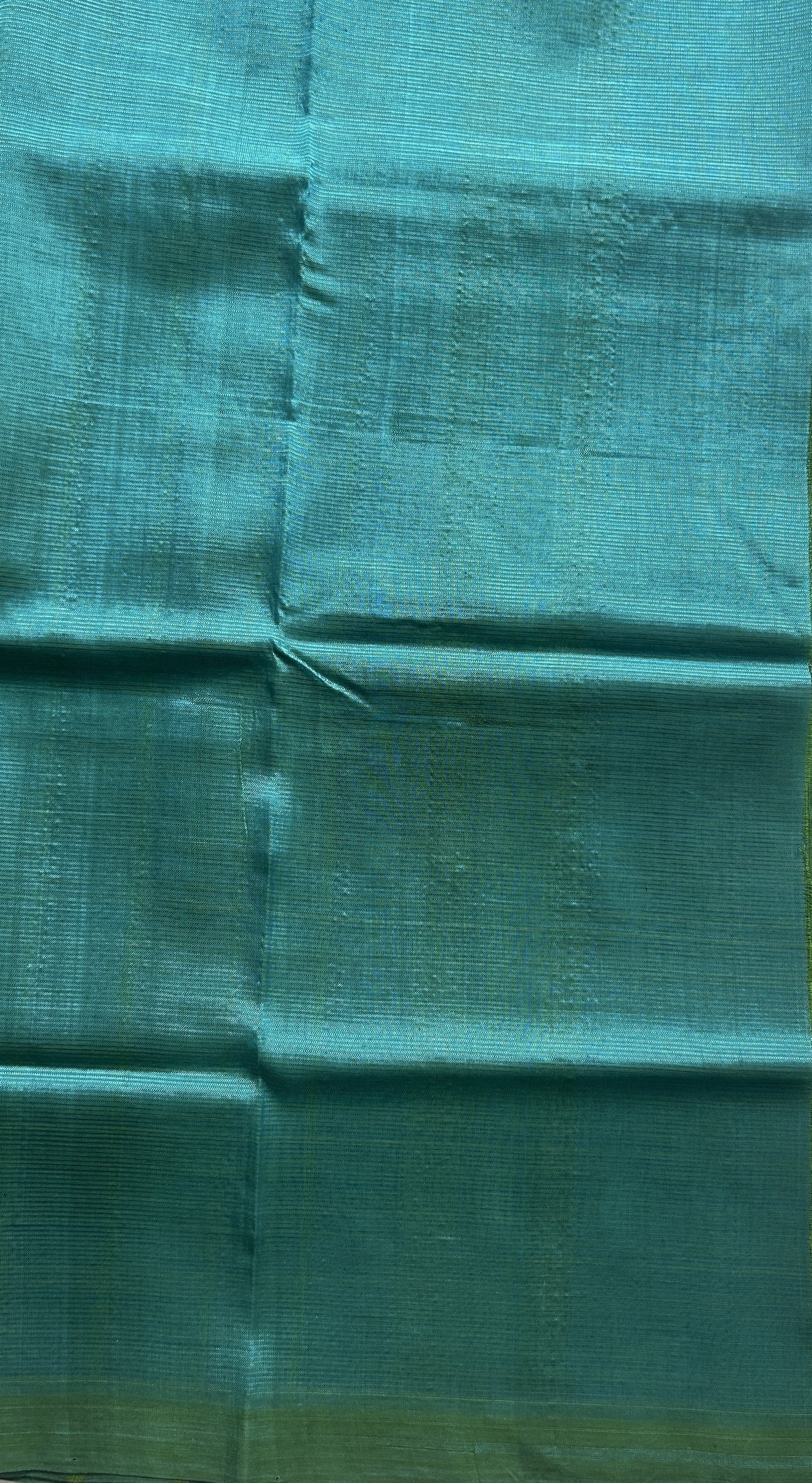 Mangalagiri Plain Pattu Saree Parrot Green colored complemented with a No Border. - Sampradaya Designer Studio