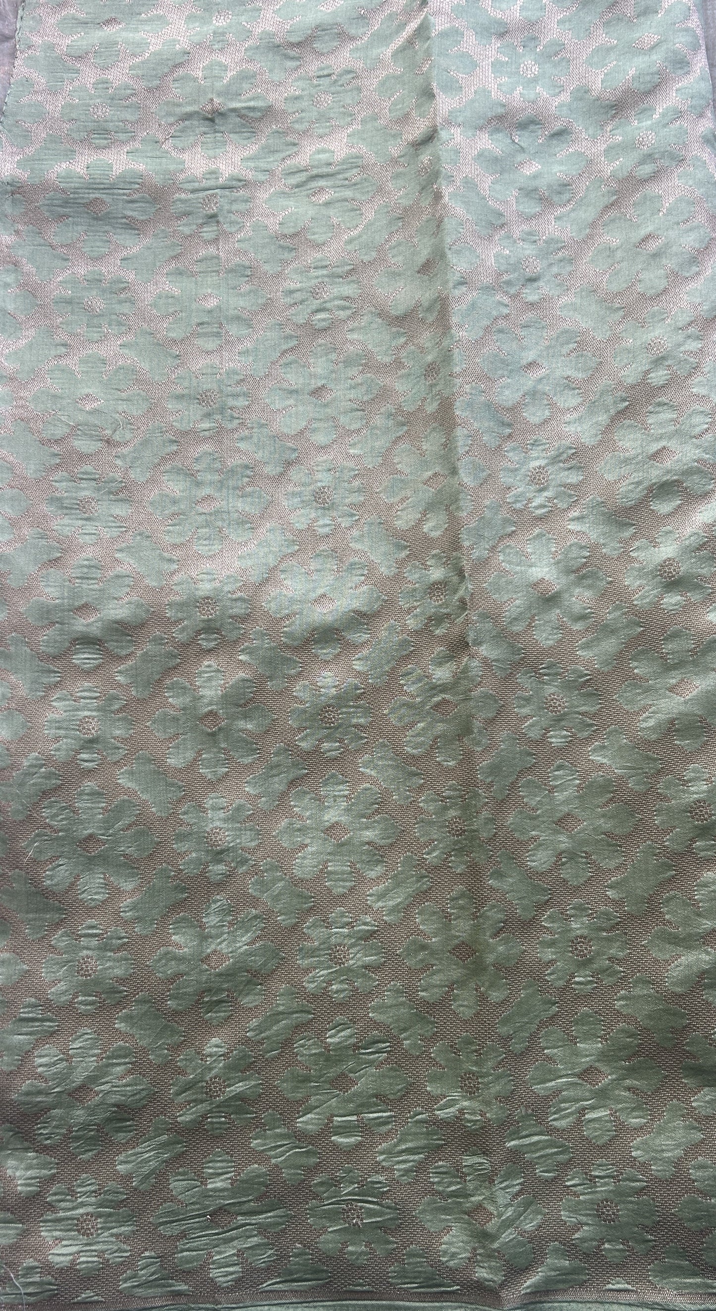 Banarasi Tissue Kora Saree Light Green Colored Complemented with a Zari Border. - Sampradaya Designer Studio