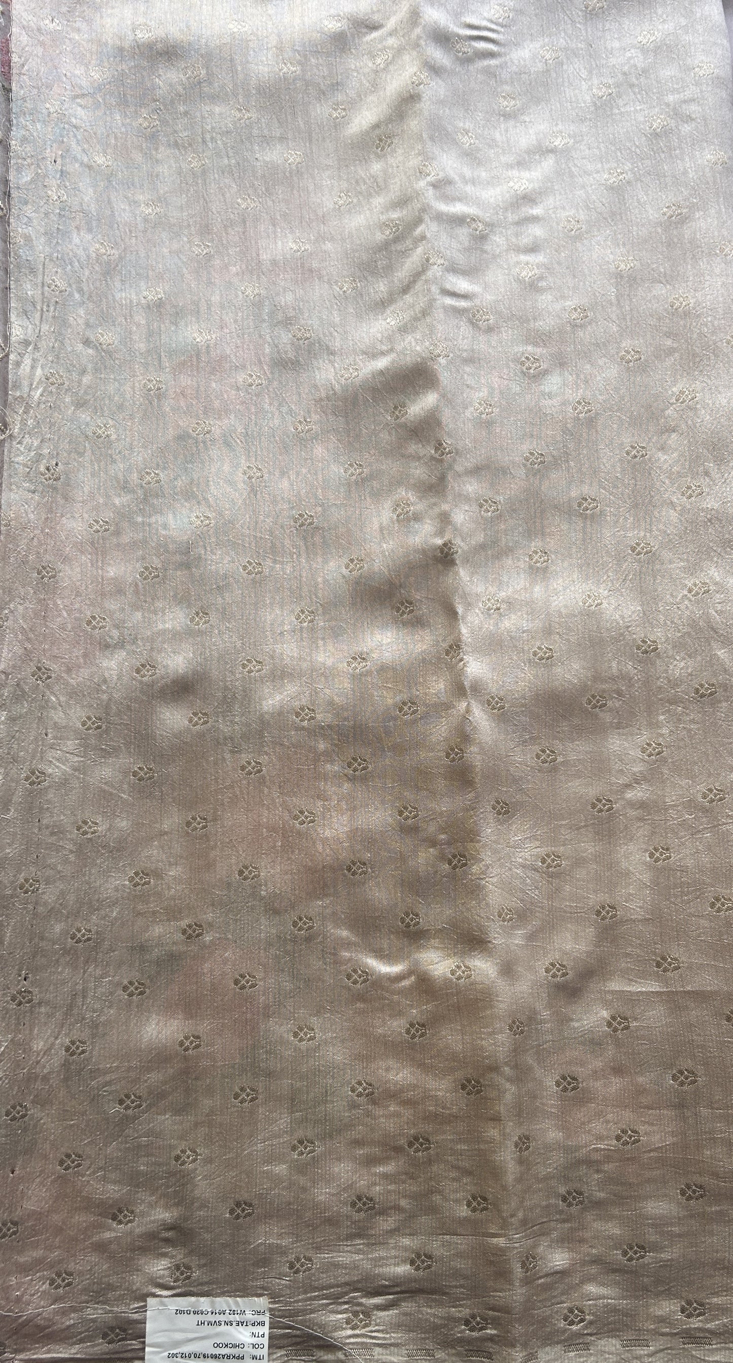 Banarasi Tissue Kora Saree Beige Colored Complemented with a Scallop Border. - Sampradaya Designer Studio