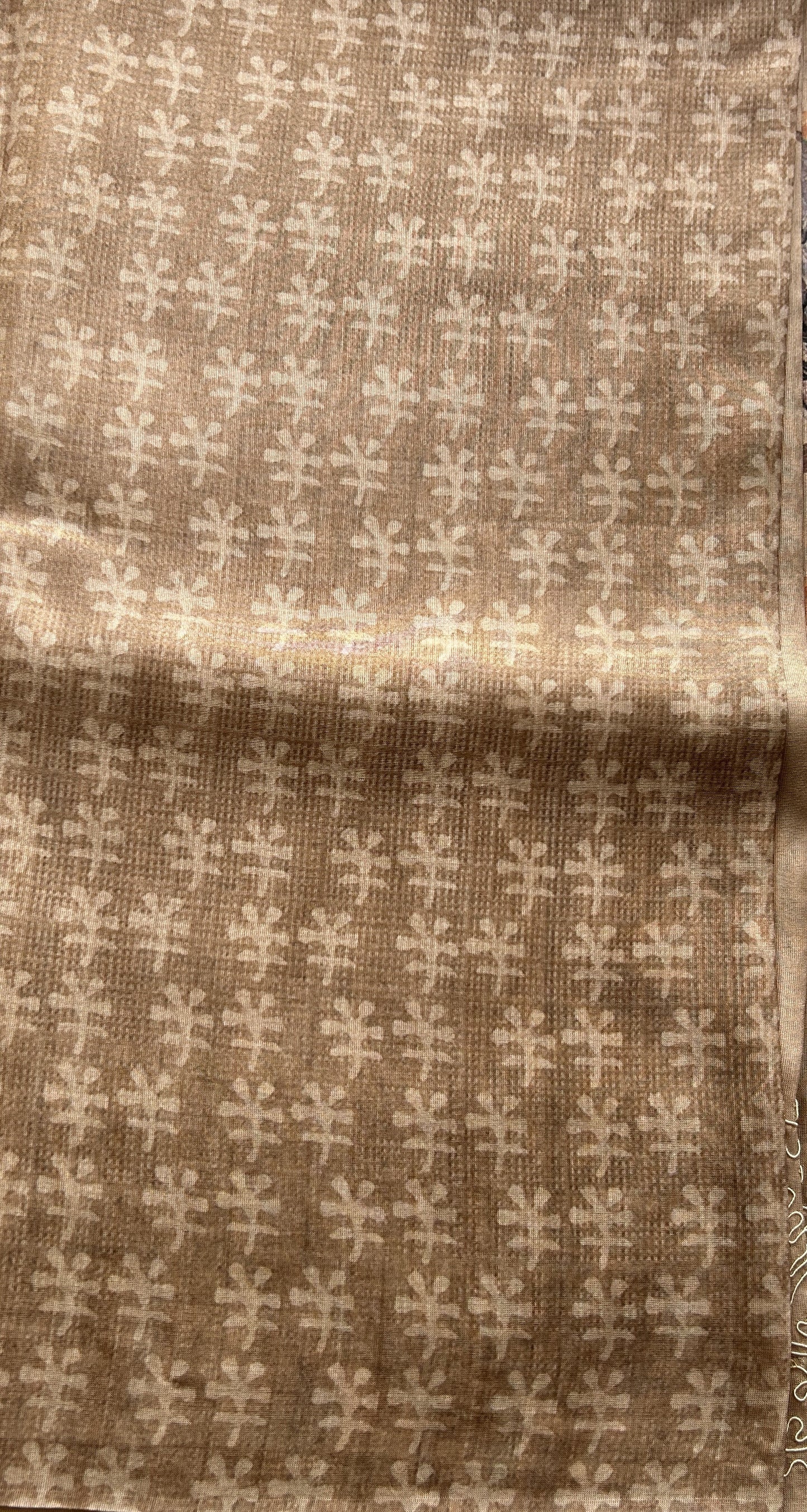 Semi Tussar Saree Light Brown Colored complemented with a Embroidered Border. - Sampradaya Designer Studio