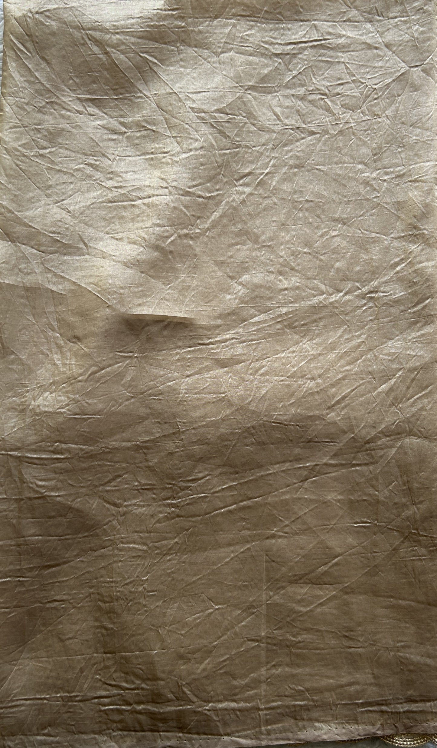 Inox Silk Saree Beige Colored Elegantly Paired with a Machine Embroidery Border. - Sampradaya Designer Studio