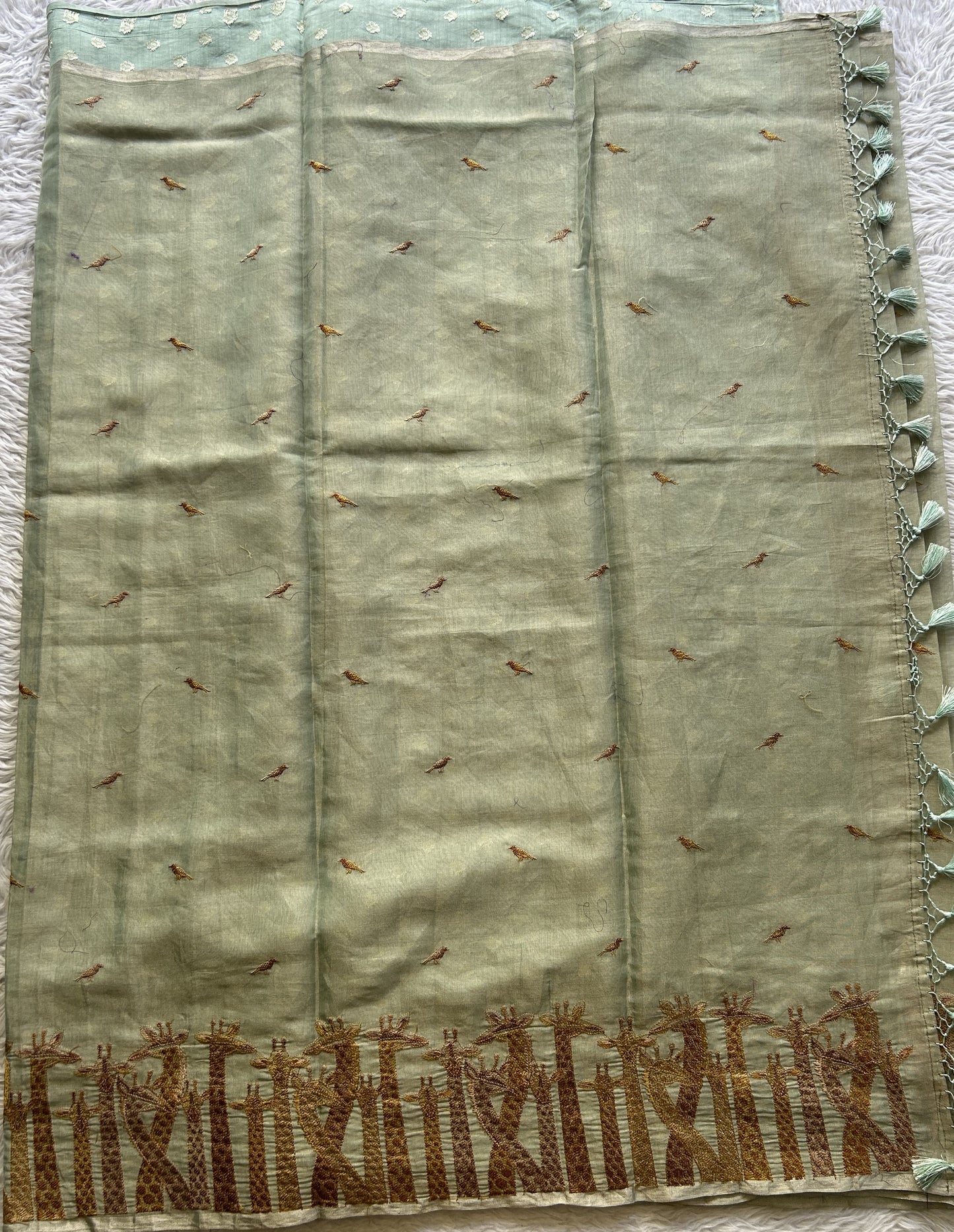 Tissue Organza Designer Saree Sage colored Saree Paired with a Thread border. - Sampradaya Designer Studio