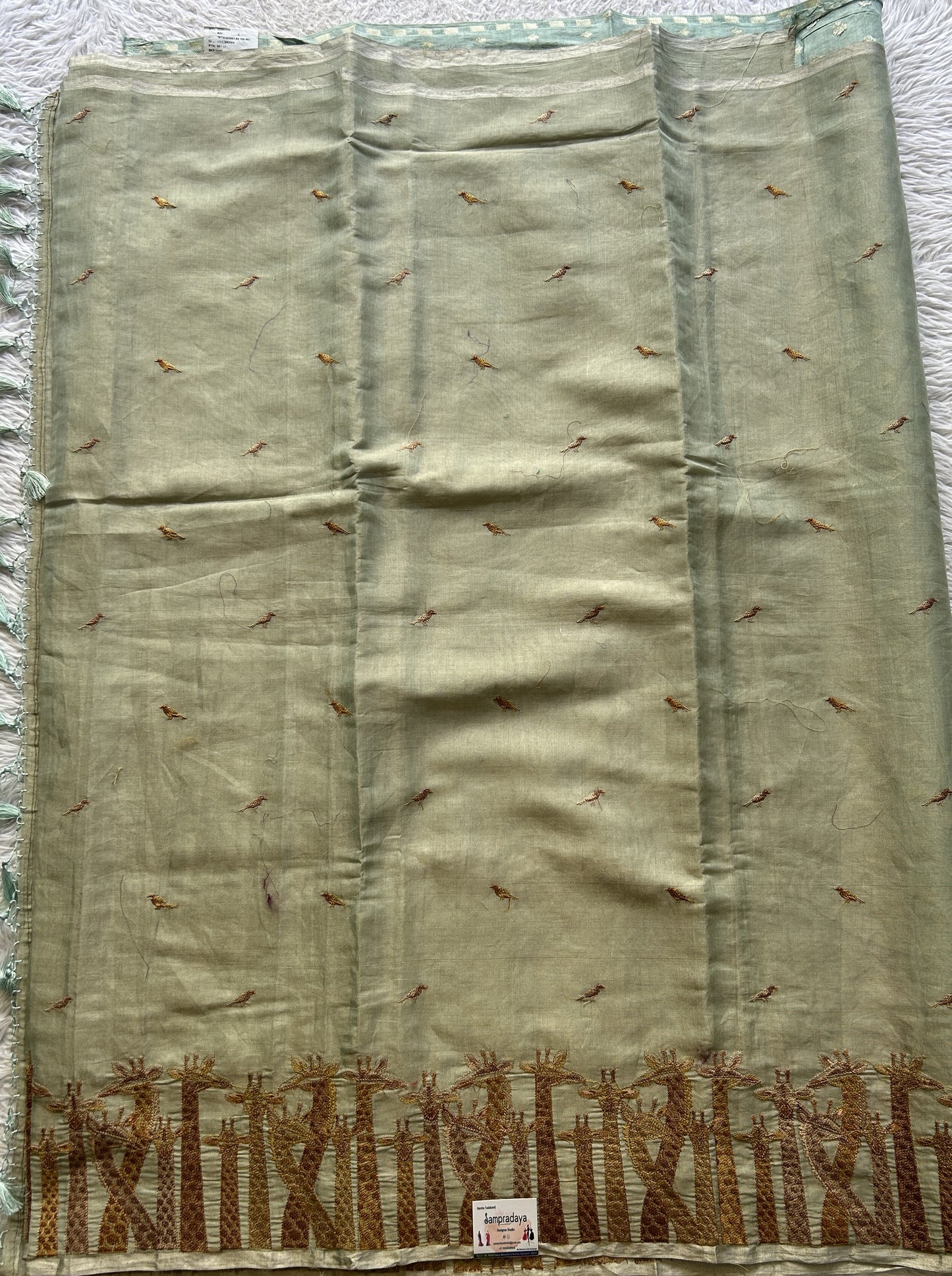 Tissue Organza Designer Saree Sage colored Saree Paired with a Thread border. - Sampradaya Designer Studio