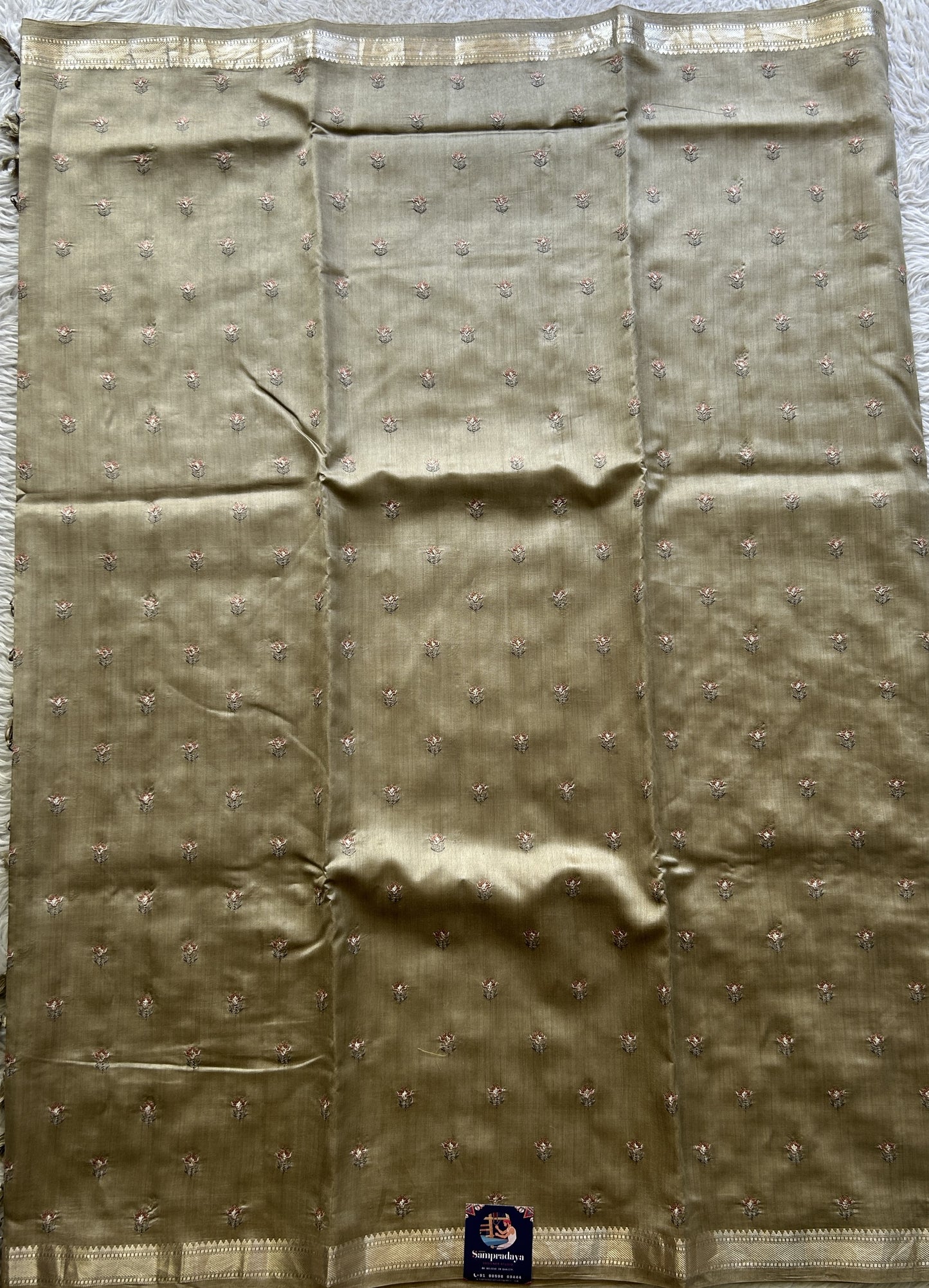 Chiniya Silk Saree Chikoo Colored Elegantly Paired with a Zari Border. - Sampradaya Designer Studio