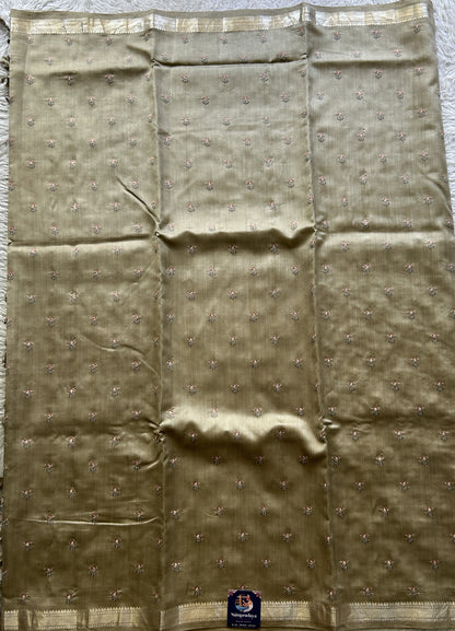 Chiniya Silk Saree Chikoo Colored Elegantly Paired with a Zari Border. - Sampradaya Designer Studio