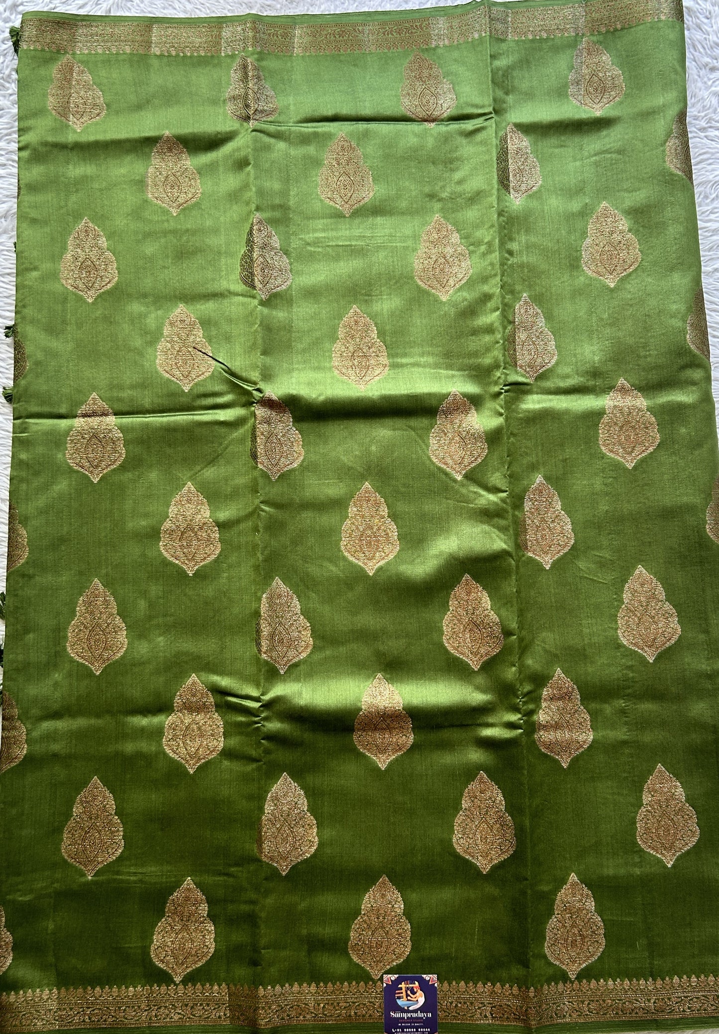 Chiniya Silk Saree Green Colored Elegantly Paired with a Zari Border. - Sampradaya Designer Studio