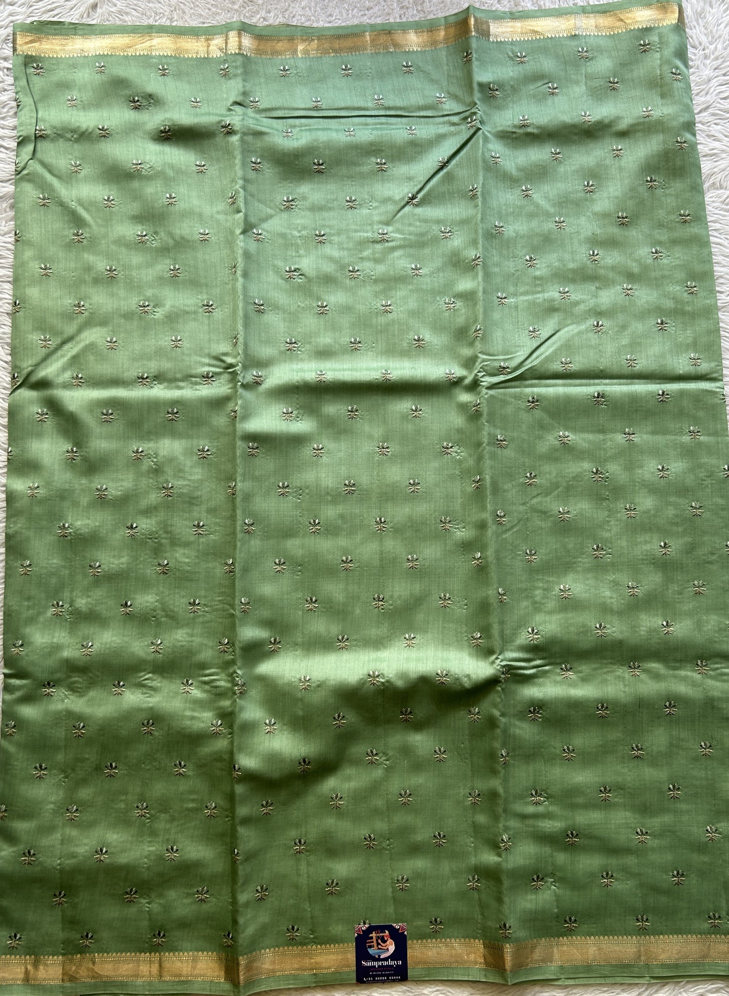 Chiniya Silk Saree Mint Green Colored Elegantly Paired with a Zari Border. - Sampradaya Designer Studio