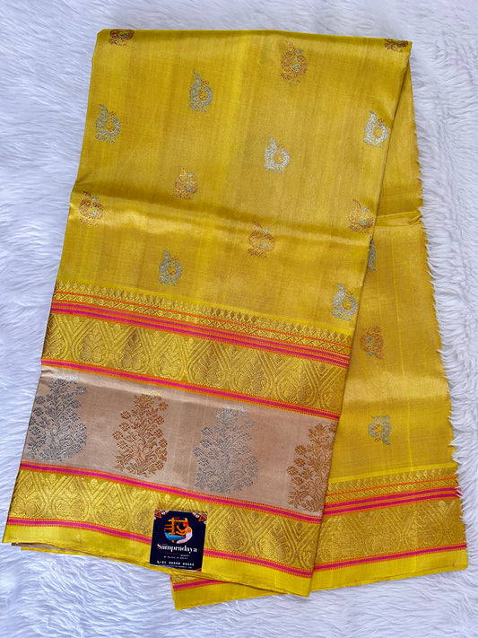 Venkatagiri Pattu Saree Corn Yellow Colored Complemented With a Pattu Corn Yellow with Dust Color Kanchi Border - Sampradaya Designer Studio