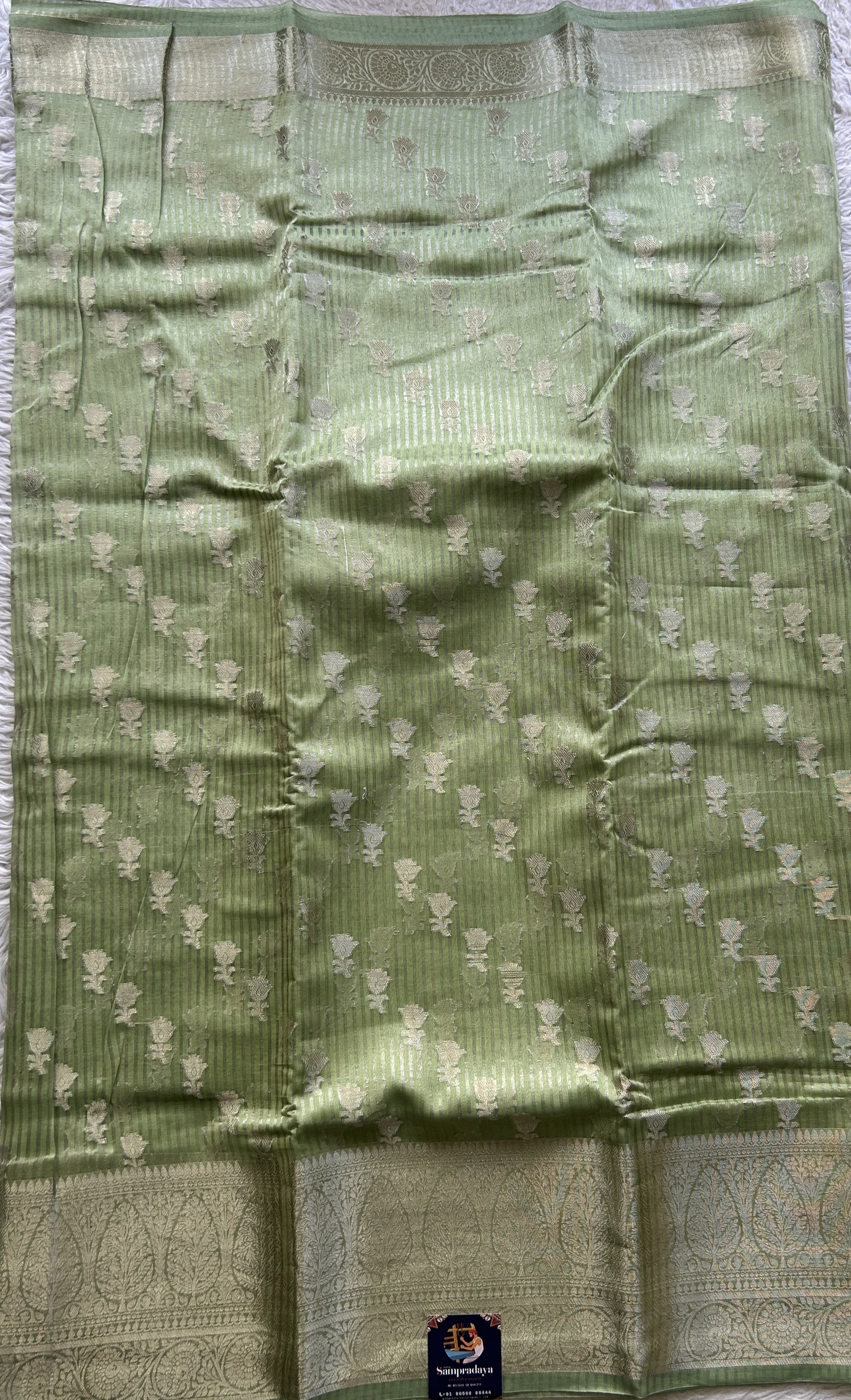 Maheshwari Chanderi Cotton Saree Light Green Colored Elegantly Paired with a Zari Border. - Sampradaya Designer Studio