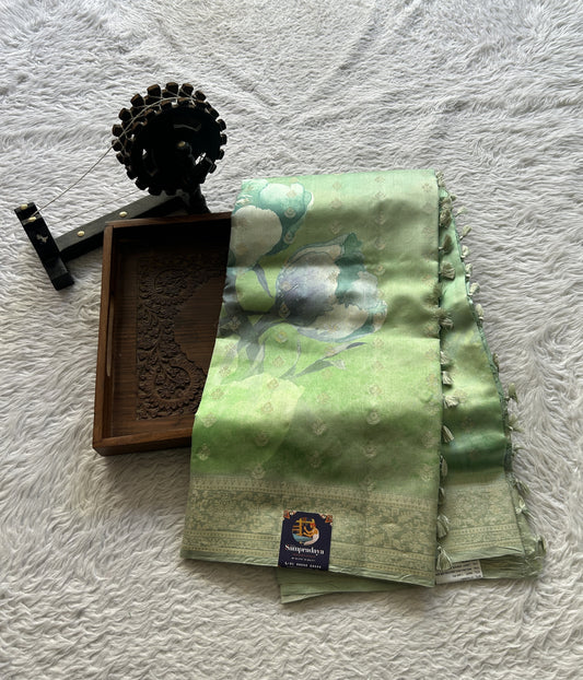 Chiniya Silk Saree Apple Green Colored Elegantly Paired with a Zari Border. - Sampradaya Designer Studio