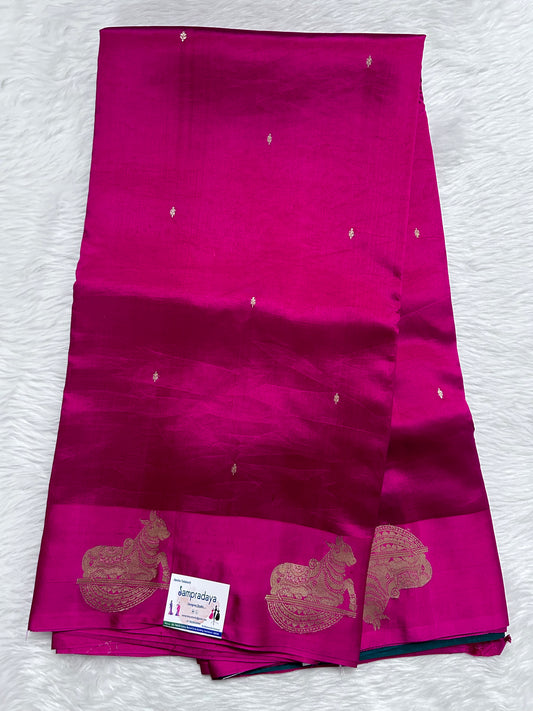 Raw Mango or Pooniya Silk Saree Deep Pink Colored Complemented With a Mushrur Border - Sampradaya Designer Studio