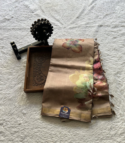 Chiniya Silk Saree Light Brown Colored Elegantly Paired with a Zari Border. - Sampradaya Designer Studio