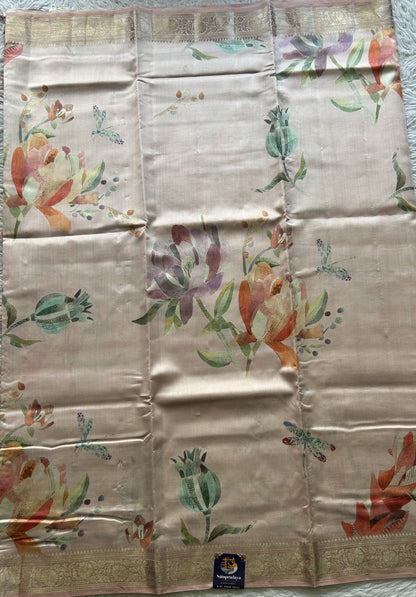 Chiniya Silk Saree Very Light Pink Colored Elegantly Paired with a Zari Border. - Sampradaya Designer Studio