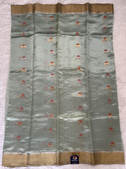Chanderi Pattu Saree Pastel Green colored saree complemented with a Gold Zari Plain border - Sampradaya Designer Studio