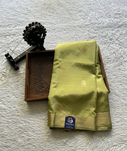Banarasi Katan Silk Saree Light Olive Green Colored Elegantly Paired with a Zari border. - Sampradaya Designer Studio