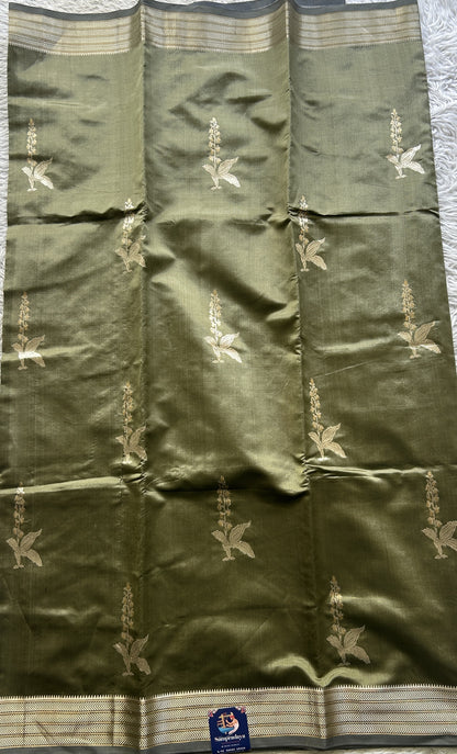 Banarasi Katan Silk Saree Cement Colored Elegantly Paired with a Zari border. - Sampradaya Designer Studio