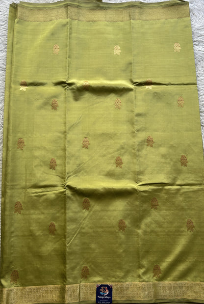 Banarasi Katan Silk Saree Light Olive Green Colored Elegantly Paired with a Zari border. - Sampradaya Designer Studio