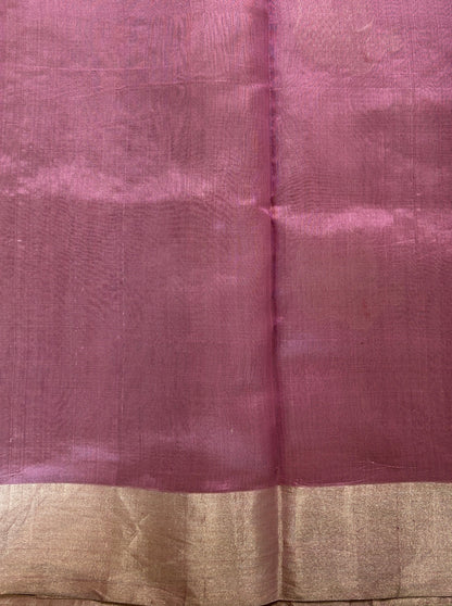 Chanderi Pattu Saree Flamingo Pink colored saree complemented with a Silver Zari Border - Sampradaya Designer Studio