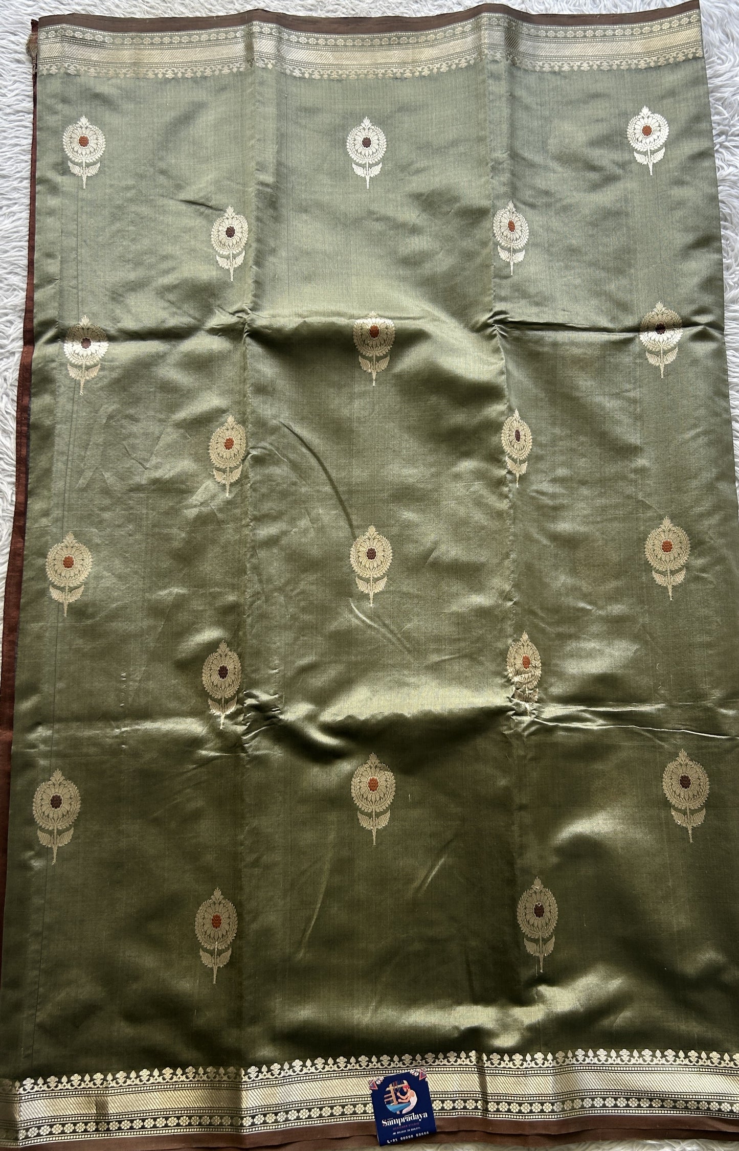 Banarasi Katan Silk Saree Light Gray Colored Elegantly Paired with a Zari border. - Sampradaya Designer Studio