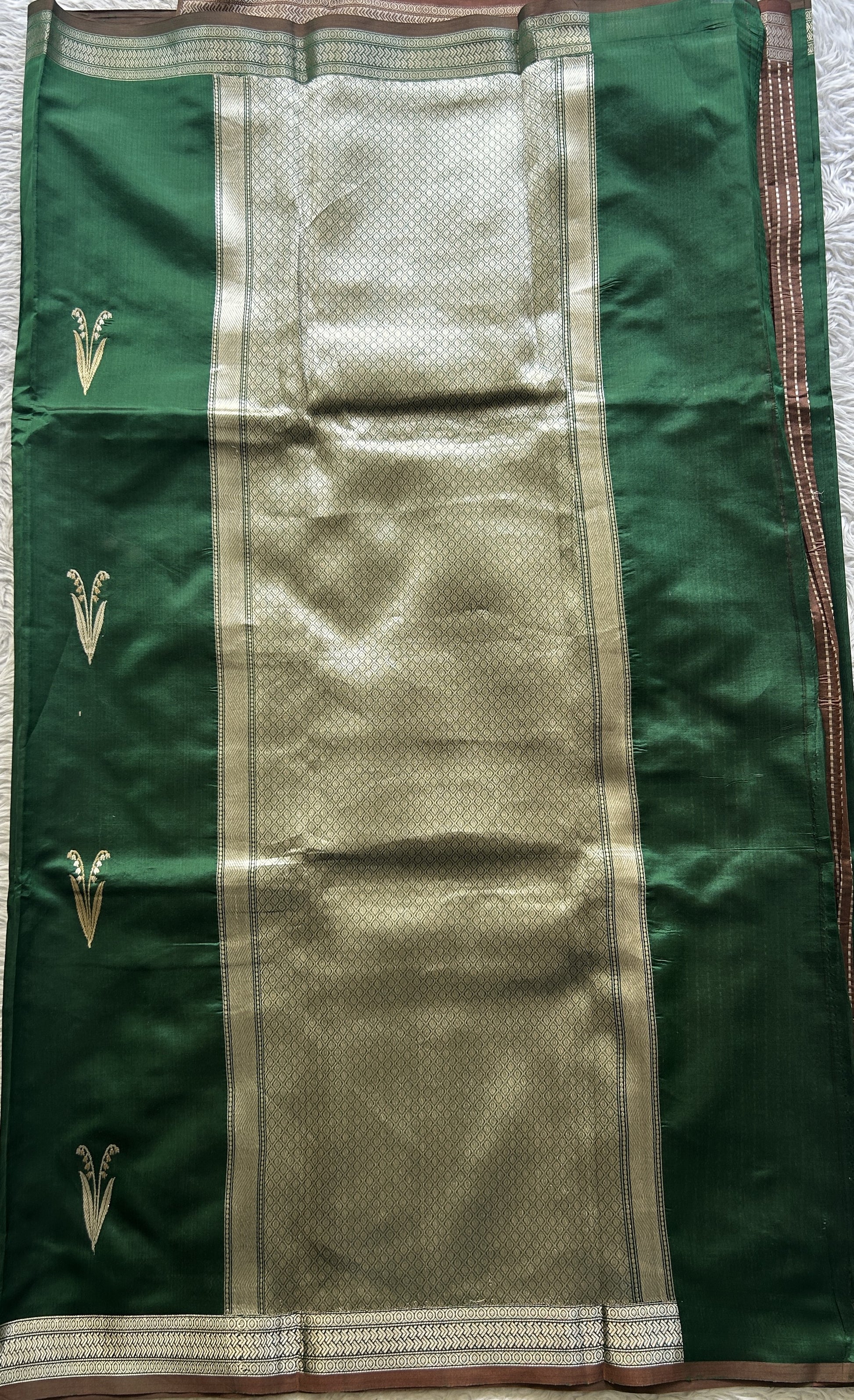 Banarasi Katan Silk Saree Green Colored Elegantly Paired with a Zari border. - Sampradaya Designer Studio