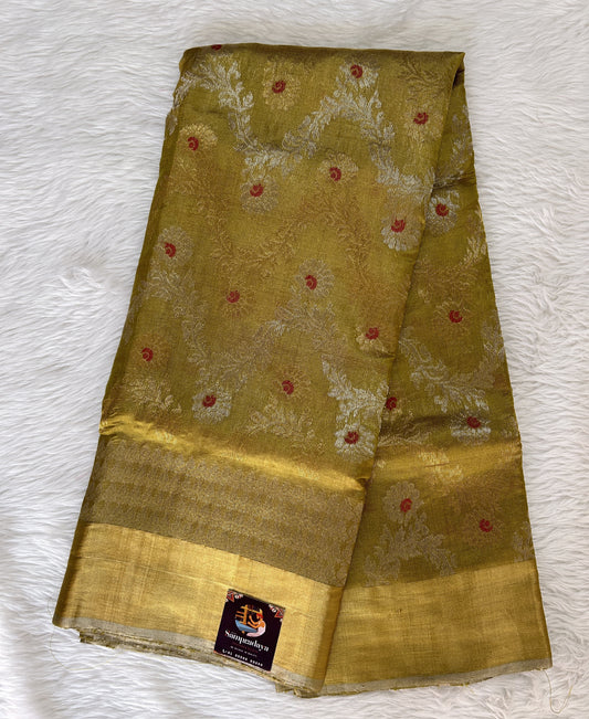 Chanderi Pattu Saree Pastel Green colored saree complemented with a Gold Zari Border - Sampradaya Designer Studio