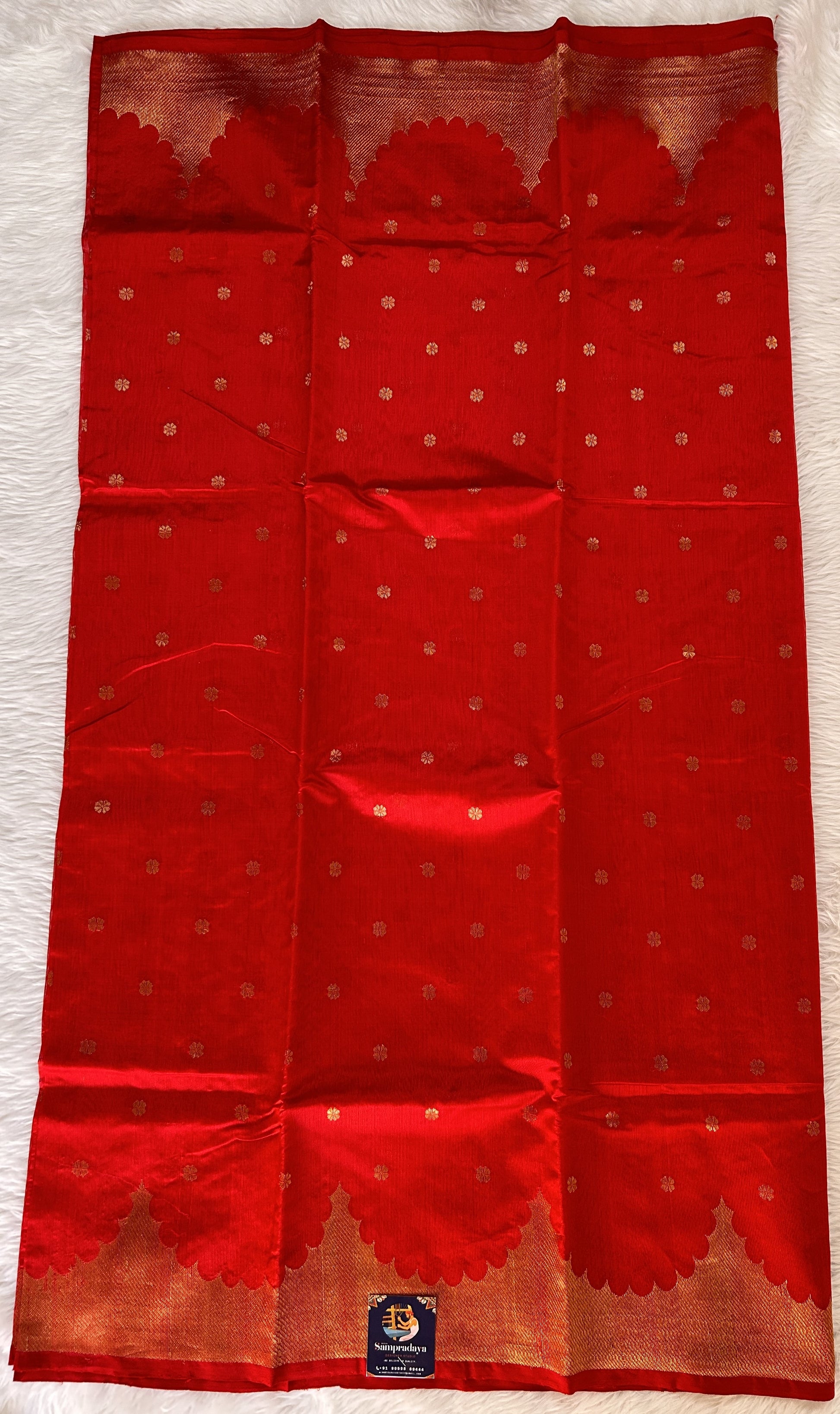 Chanderi Pattu Saree Red colored saree complemented with a Gold Zari Crown Border - Sampradaya Designer Studio
