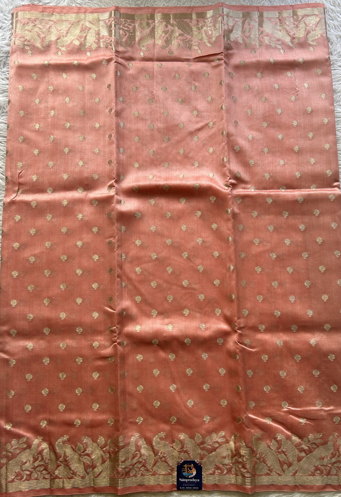 Chiniya Silk Saree Baby Pink Colored Elegantly Paired with a Jal Border. - Sampradaya Designer Studio