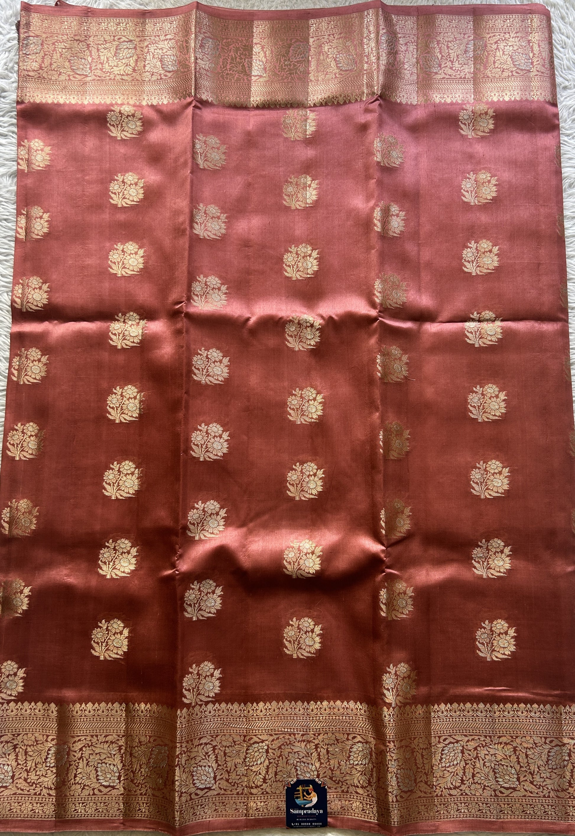 Chiniya Silk Saree Peach Colored Elegantly Paired with a Jal Border. - Sampradaya Designer Studio