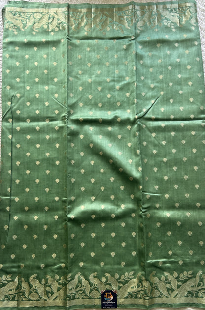 Chiniya Silk Saree Sea Green Colored Elegantly Paired with a Jal Border. - Sampradaya Designer Studio