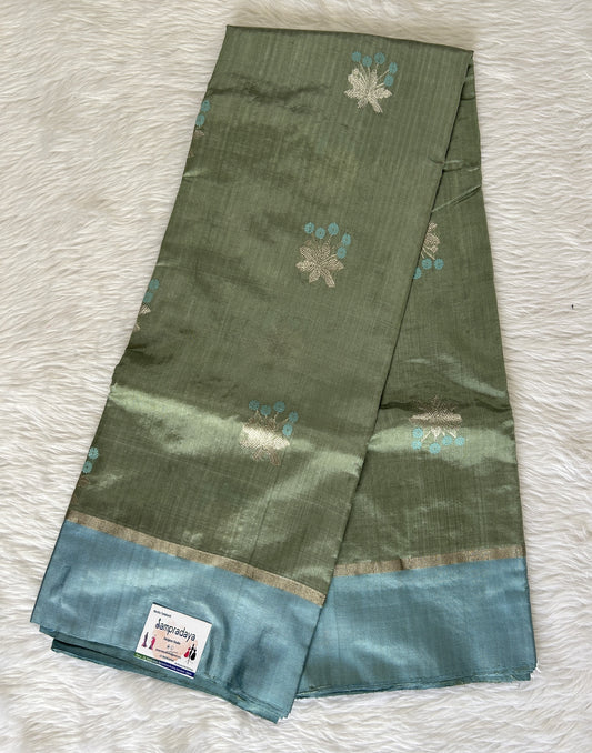 Chanderi Pattu Saree Light Olive Green colored saree complemented with a Sky Blue Plain border - Sampradaya Designer Studio