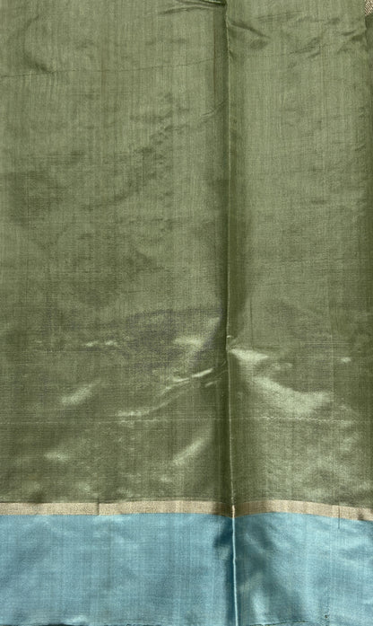 Chanderi Pattu Saree Light Olive Green colored saree complemented with a Sky Blue Plain border - Sampradaya Designer Studio