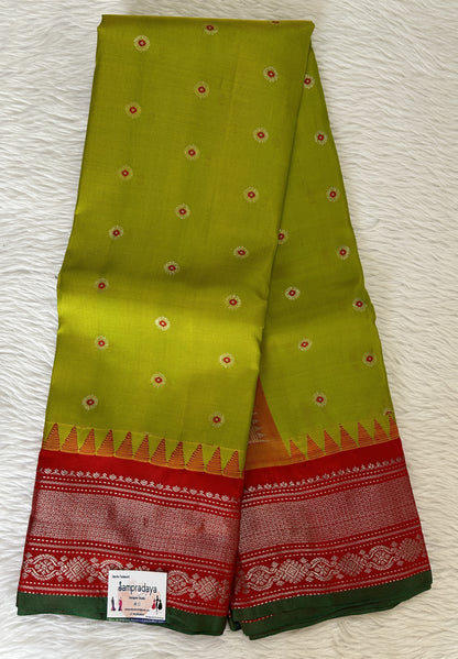 Gadwal Pattu Saree Acid Green colored saree complemented with a Candy Red Kanchi Border - Sampradaya Designer Studio