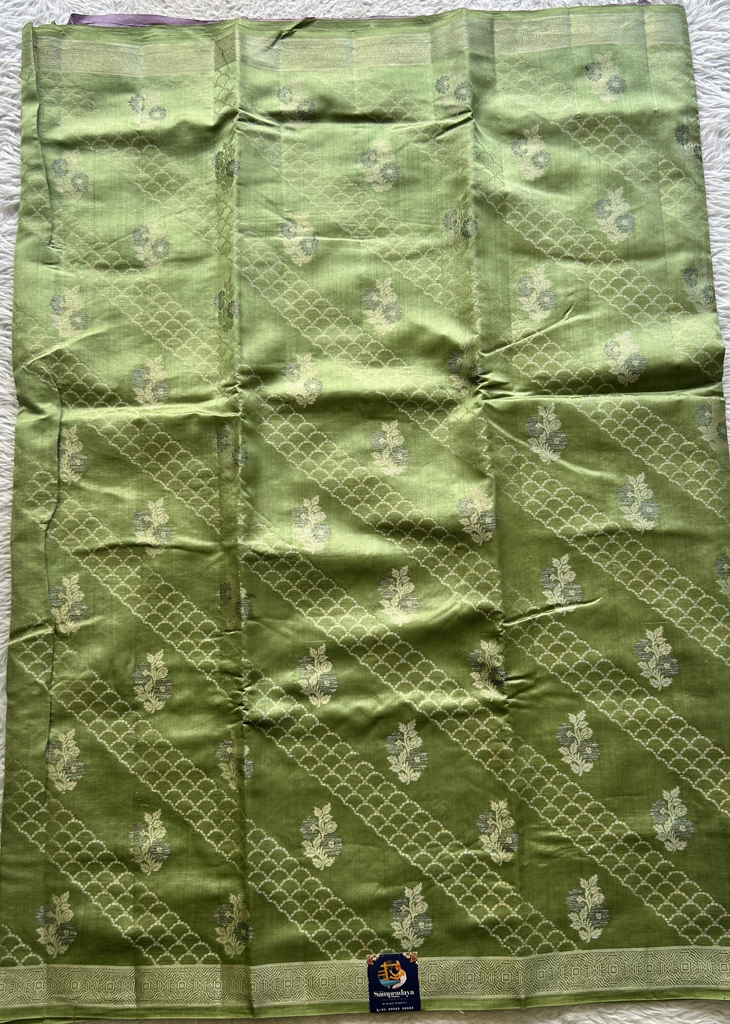 Chiniya Silk Saree Light Green Colored Exquisite with a Zari Border. - Sampradaya Designer Studio