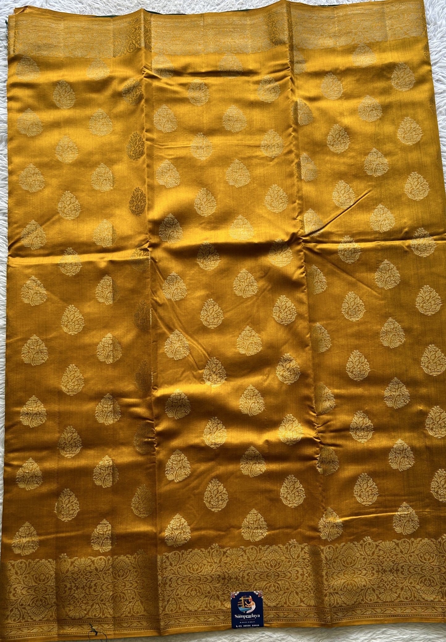 Chiniya Silk Saree Yellow Colored exquisite with a Scallop Zari Border. - Sampradaya Designer Studio