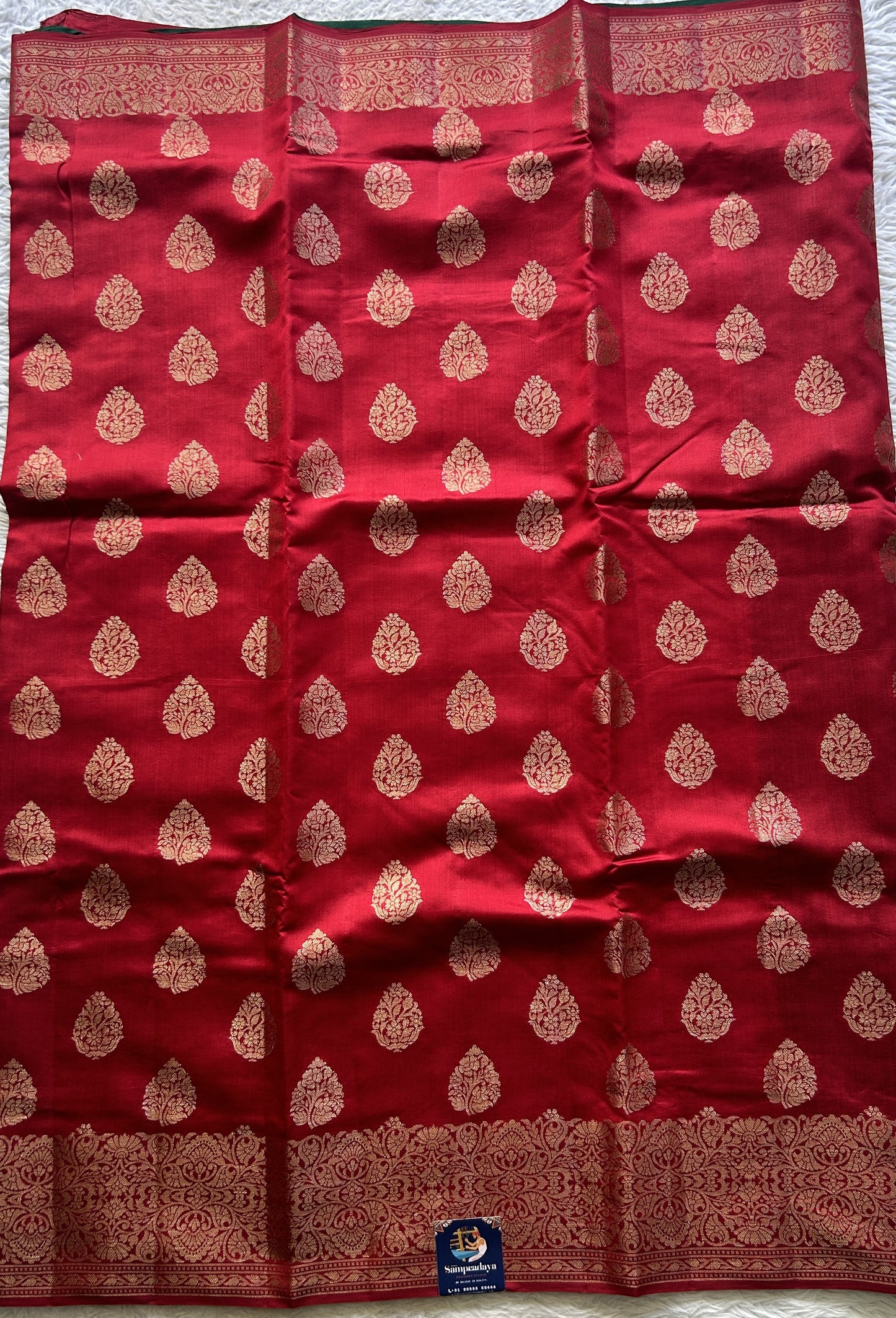 Chiniya Silk Saree Red Colored exquisite with a Zari Border. - Sampradaya Designer Studio