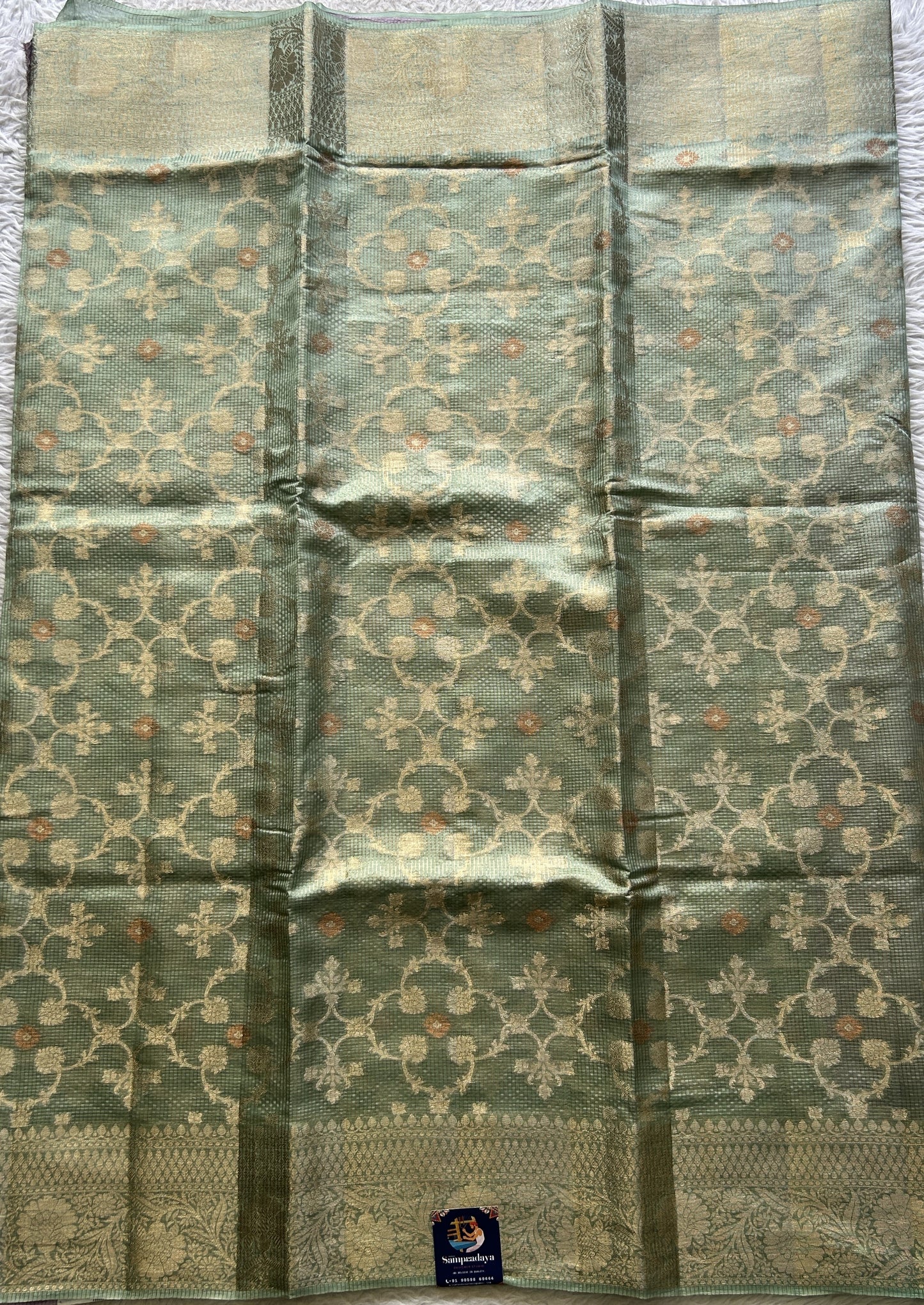 Chiniya Silk Saree Light Sea Green Colored Elegantly Paired with a Zari Border. - Sampradaya Designer Studio