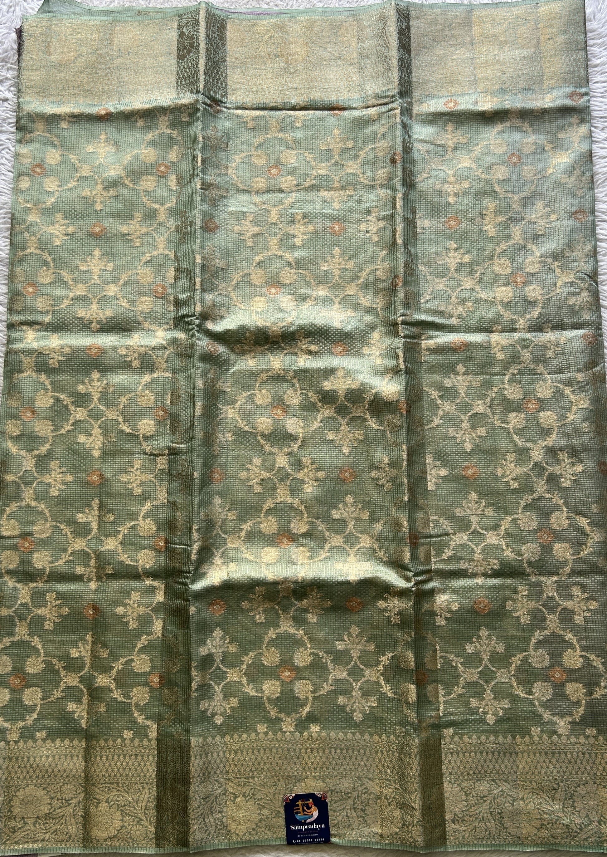 Chiniya Silk Saree Light Sea Green Colored Elegantly Paired with a Zari Border. - Sampradaya Designer Studio