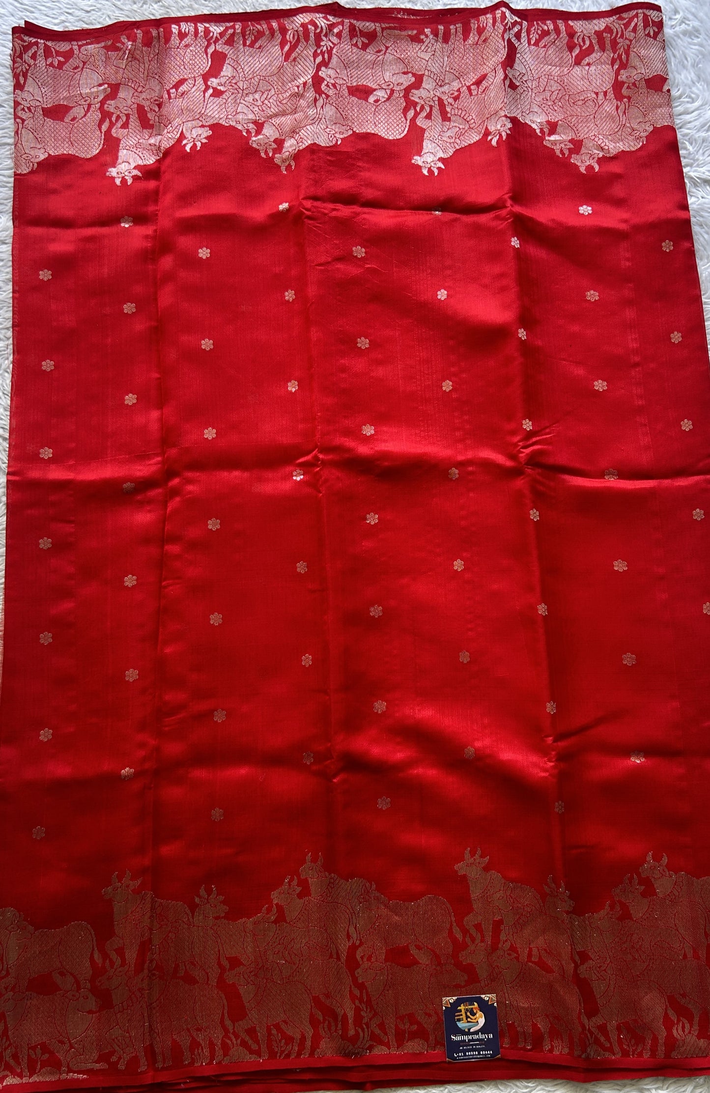 Chanderi Silk Saree Red color Elegantly Paired with a Zari border - Sampradaya Designer Studio