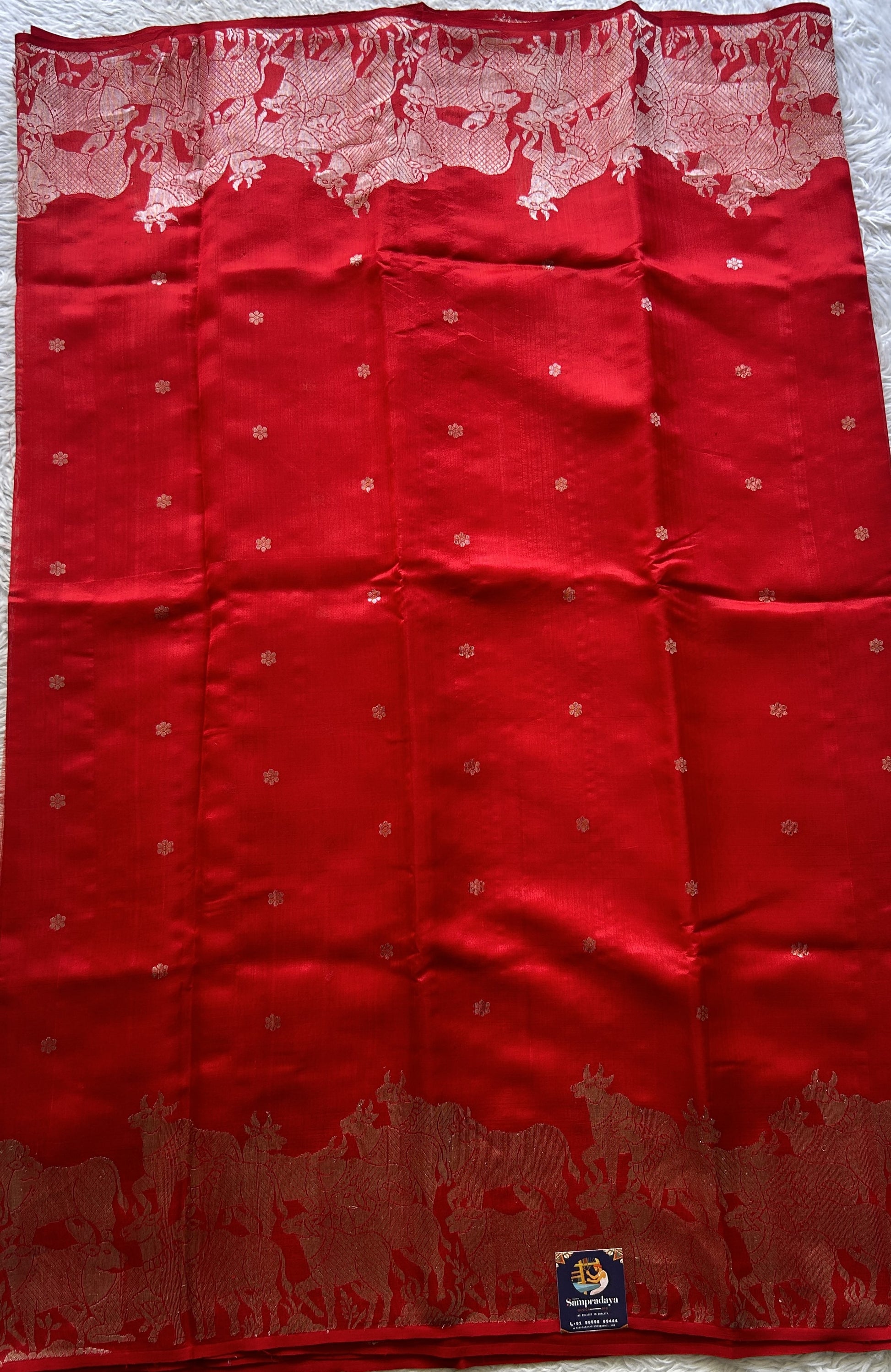 Chanderi Silk Saree Red color Elegantly Paired with a Zari border - Sampradaya Designer Studio