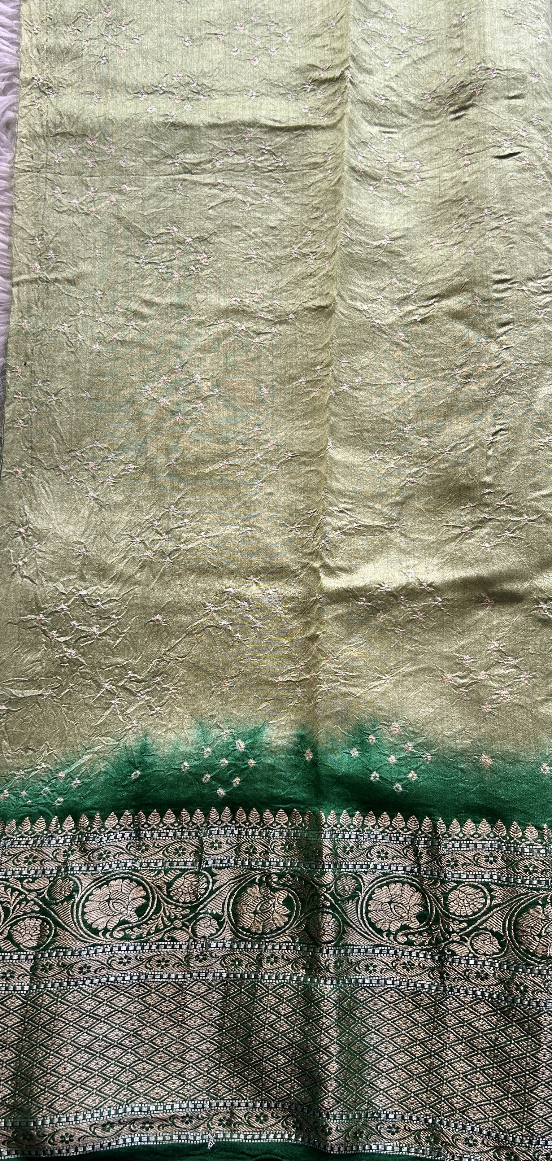 Bandhani Saree Inchworm Colored Elegantly Paired with a Green Color Zari Border. - Sampradaya Designer Studio