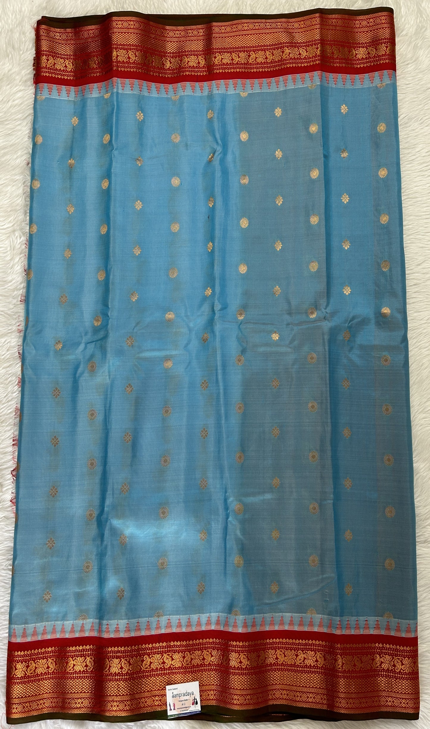 Gadwal Pattu Saree Sky Blue colored saree complemented with a Bright Red Kanchi Border - Sampradaya Designer Studio